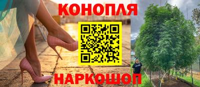 Альфа ПВП Нарткала