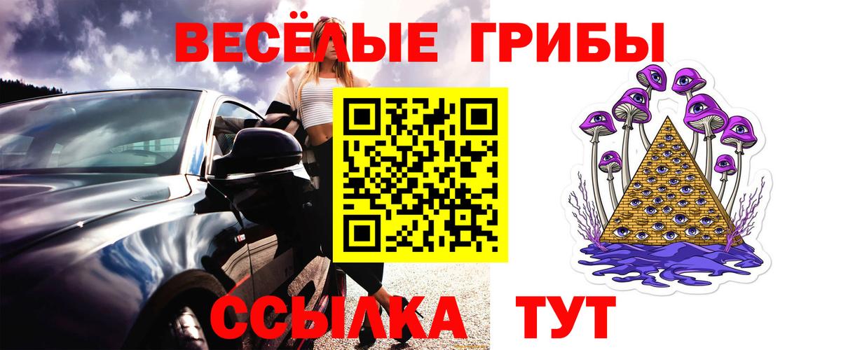 Галлюциногенные грибы Psilocybine cubensis Югорск